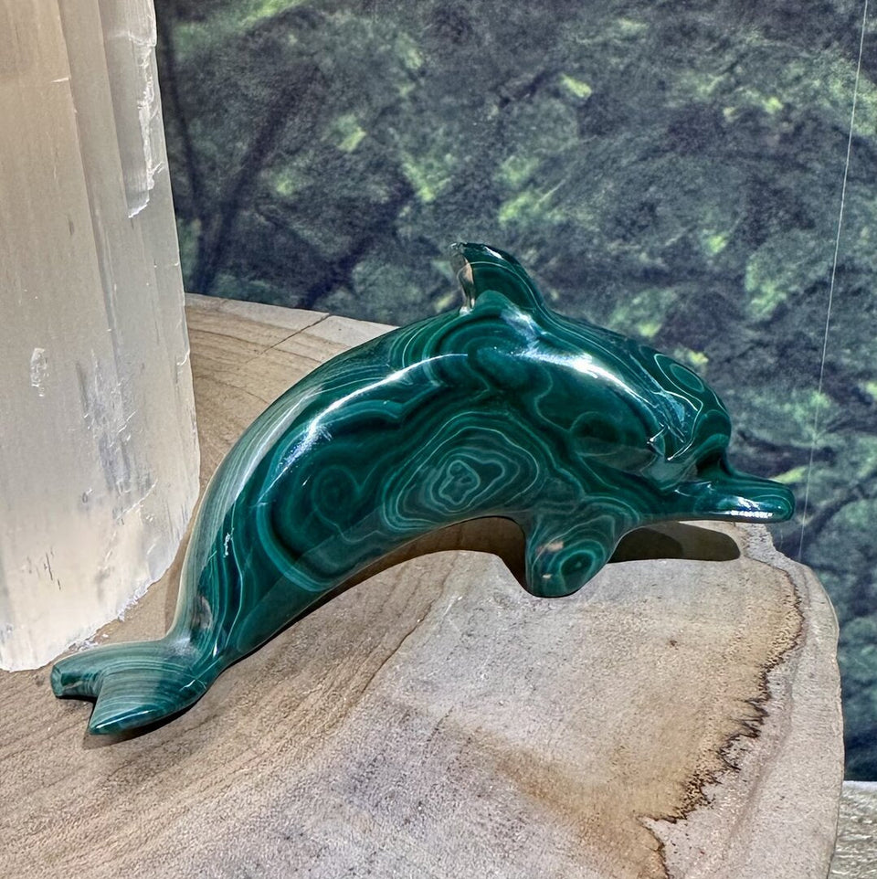 Dauphin en Malachite