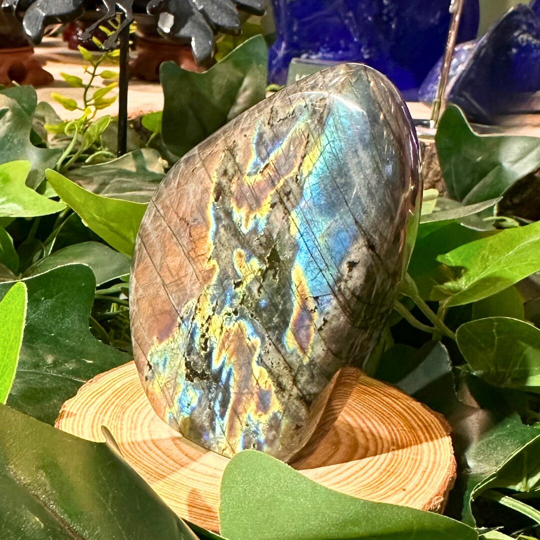 Labradorite Forme Libre - 239g