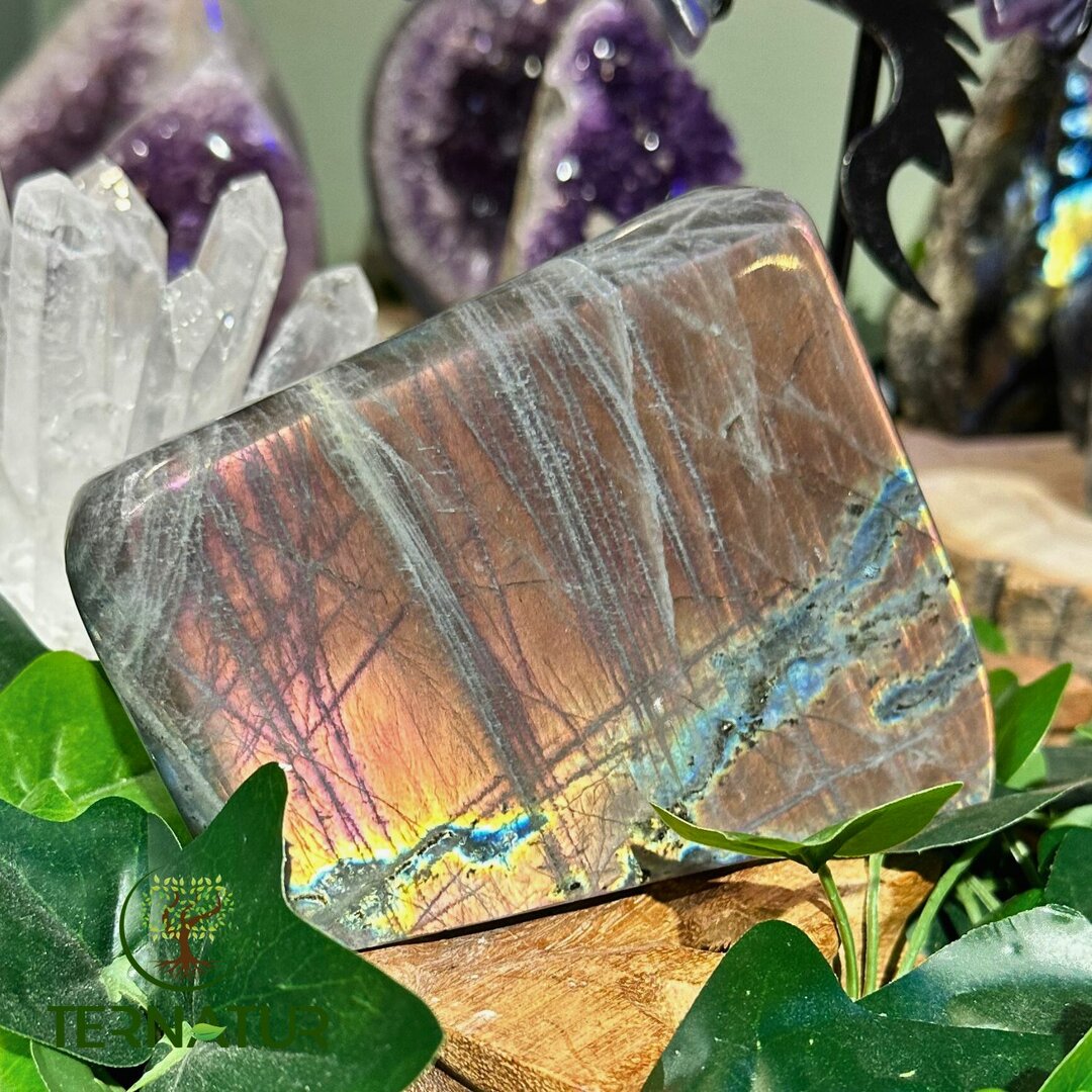 Labradorite Spectrolite Forme Libre - 1kg395