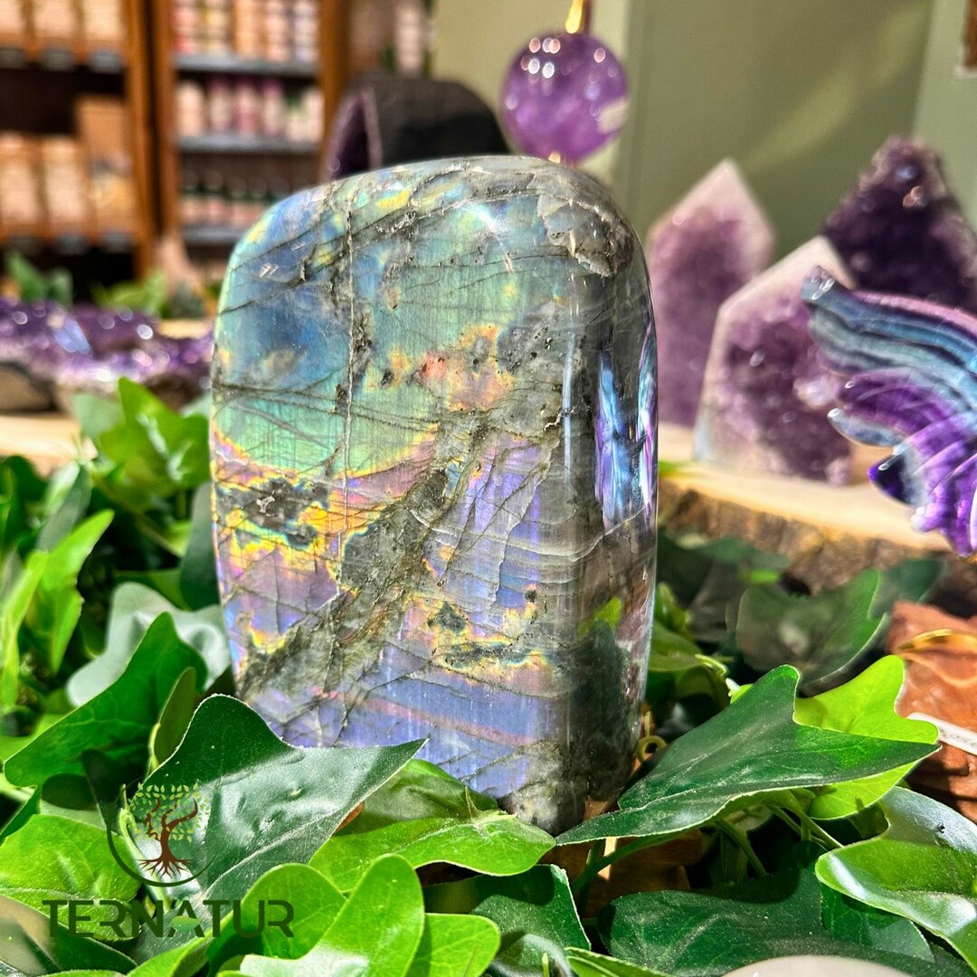 Labradorite Spectrolite Forme Libre - 1kg425