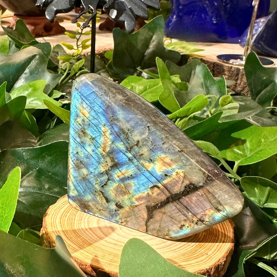Labradorite Forme Libre - 220g