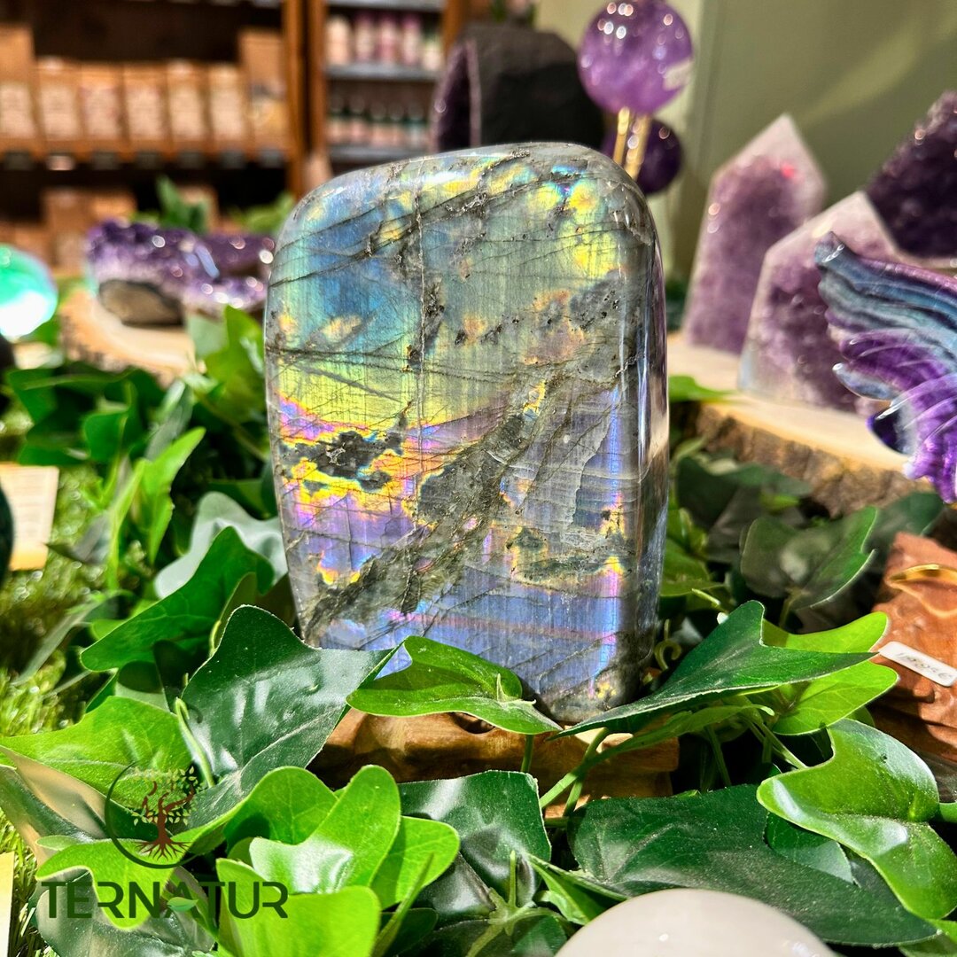 Labradorite Spectrolite Forme Libre - 1kg425
