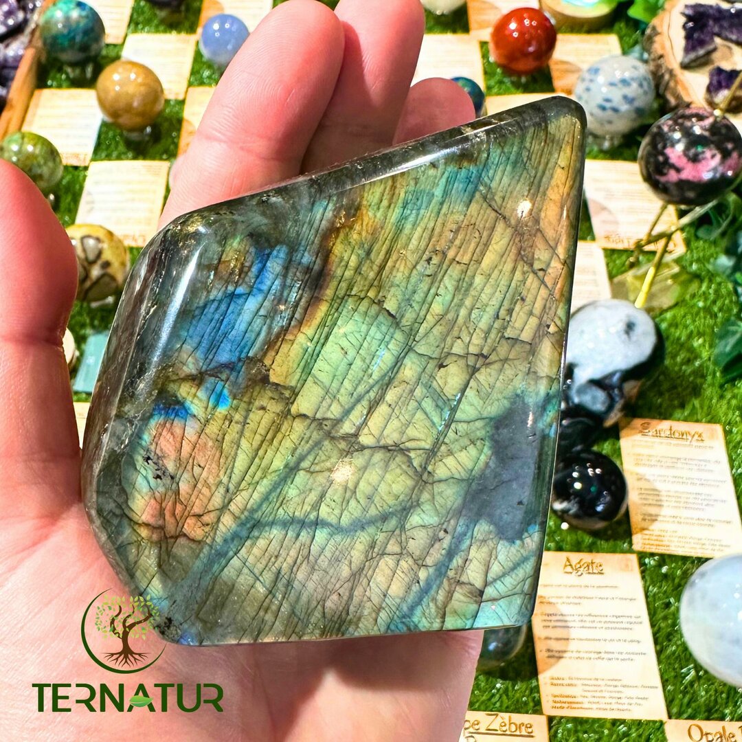 Labradorite Forme Libre - 600gr