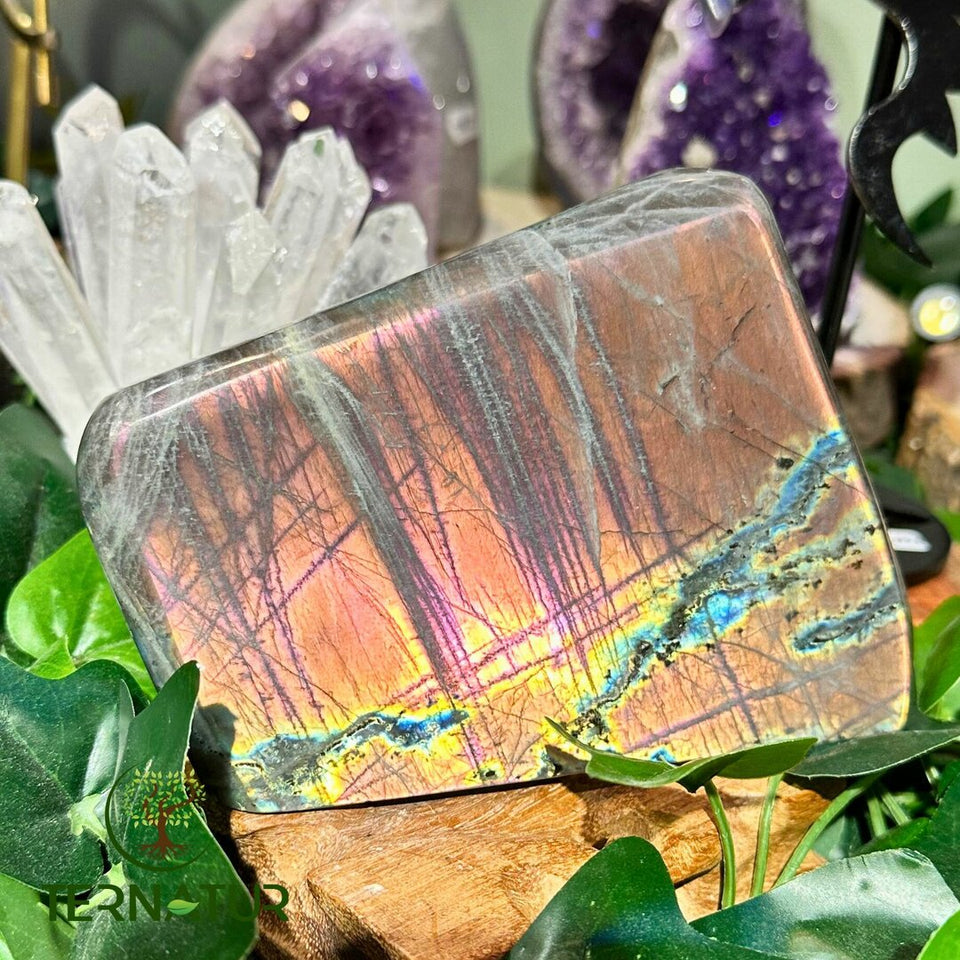 Labradorite Spectrolite Forme Libre - 1kg395