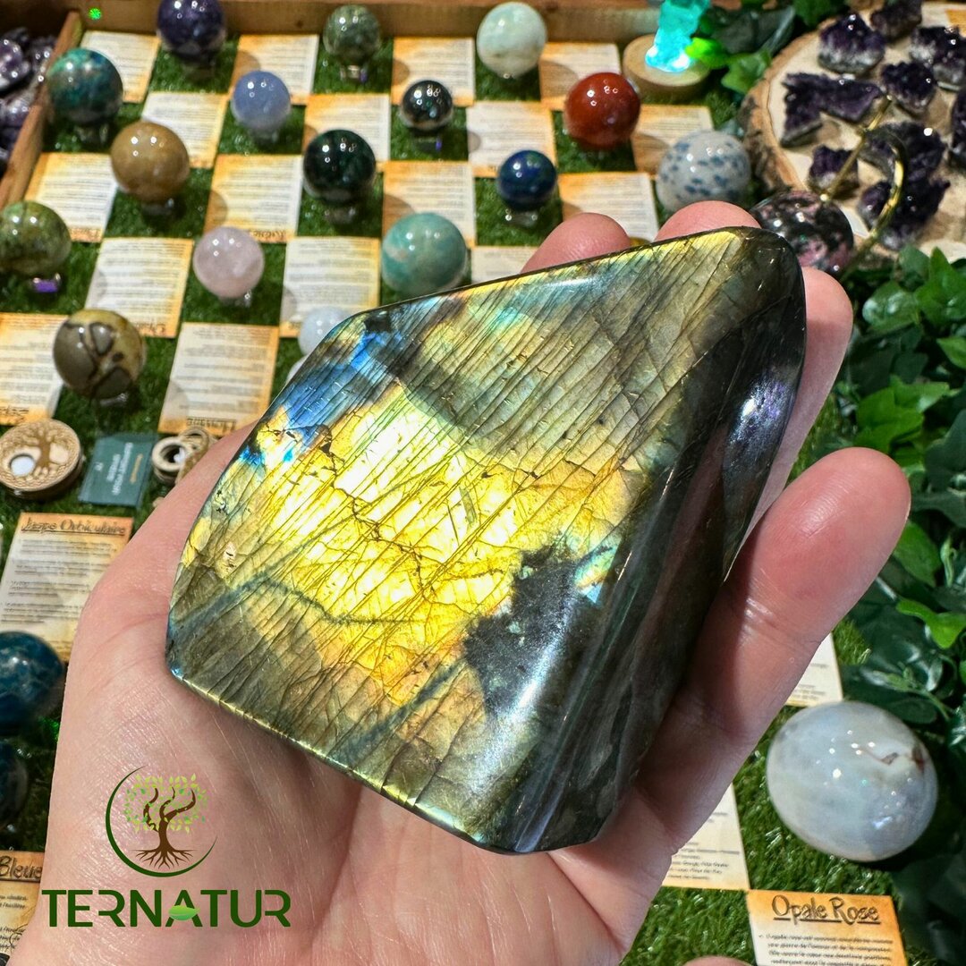Labradorite Forme Libre - 600gr
