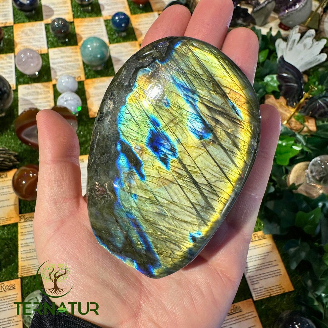 Labradorite Forme Libre - 506g