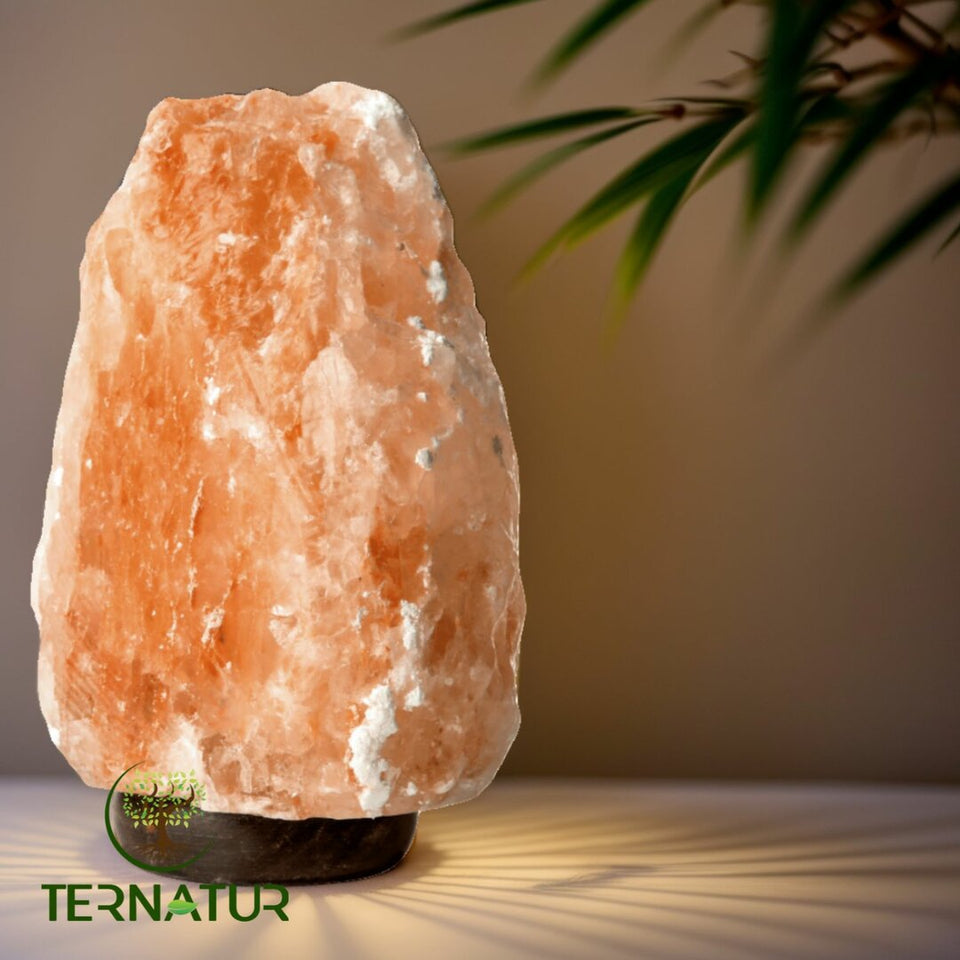 Lampe de Sel de l'Himalaya - 3 à 5kg