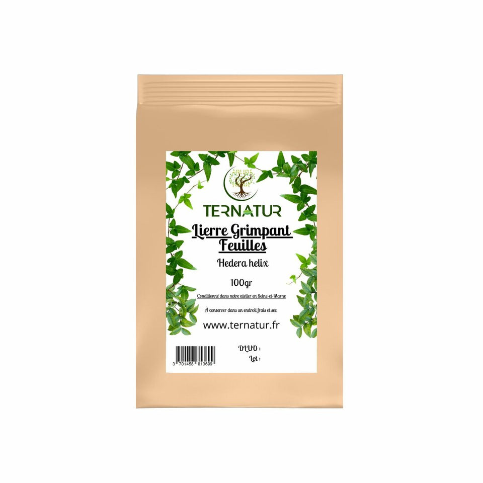 Lierre grimpant - Feuilles 100g - Hedera helix