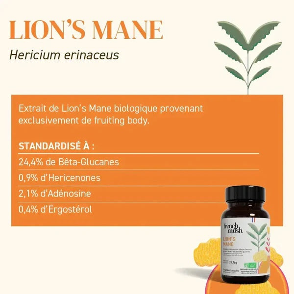 Lion's mane - 56 Gélules - French Mush