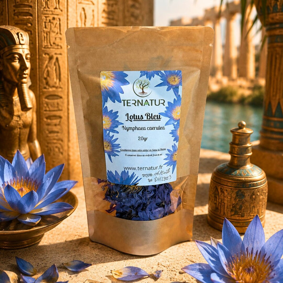 Lotus Bleu d'Égypte