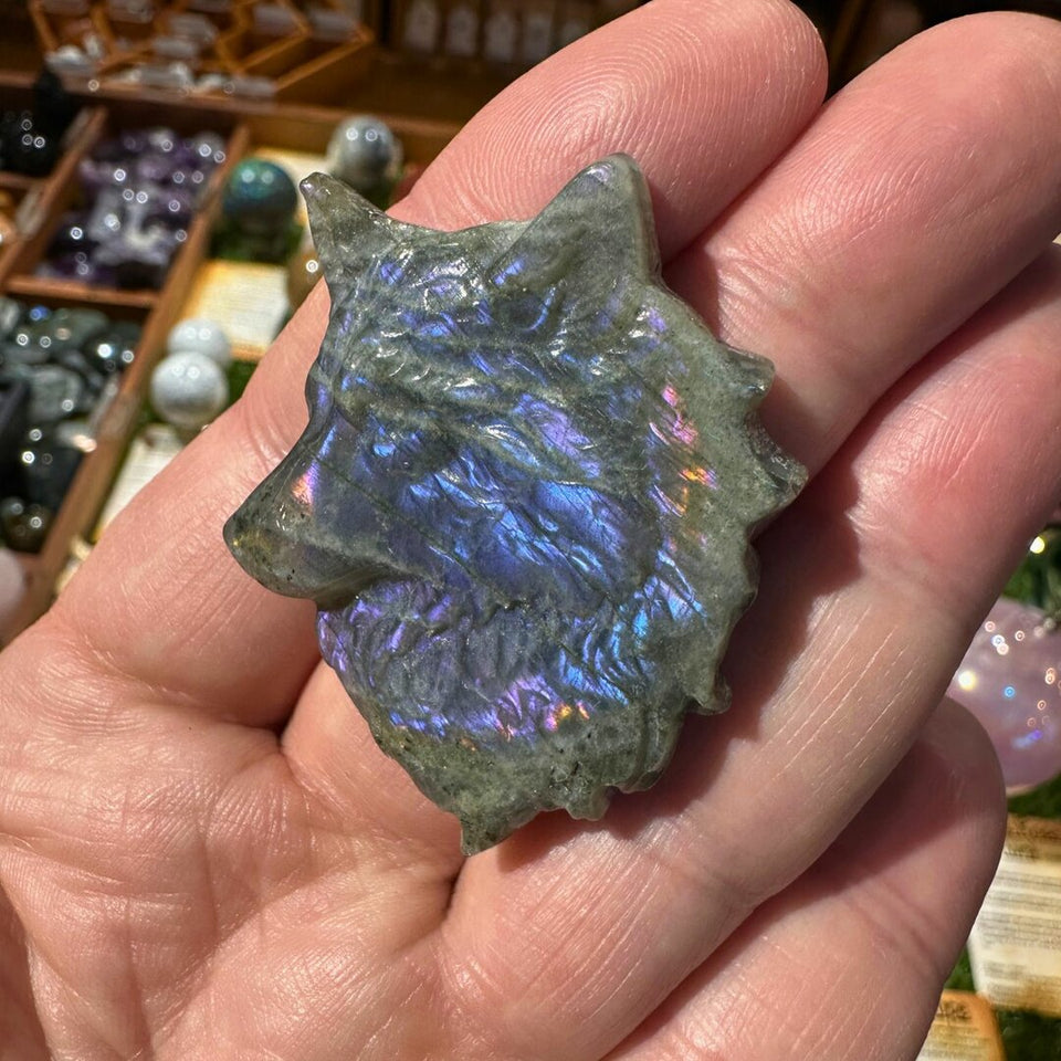 Loup en Labradorite Spectrolite