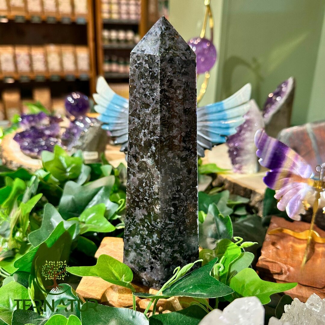 Pointe Gabbro - 20cm