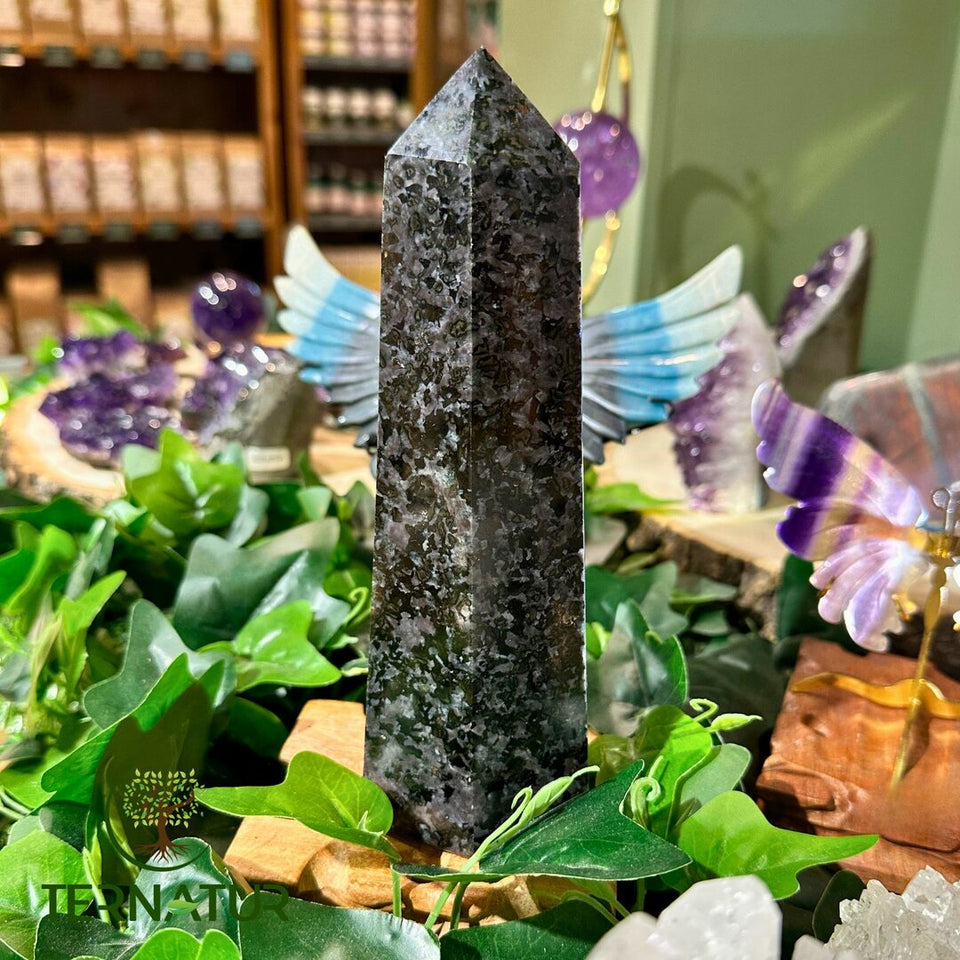 Pointe Gabbro - 20cm