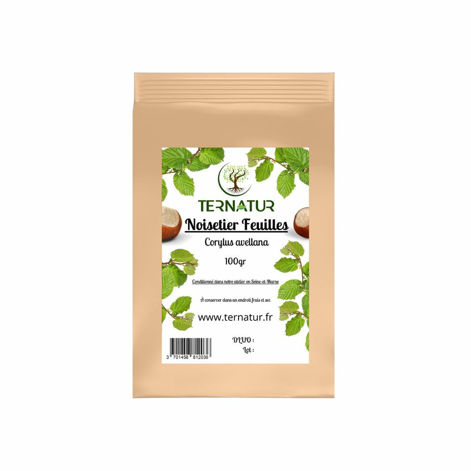 Noisetier - Feuilles 100g - Corylus avellana