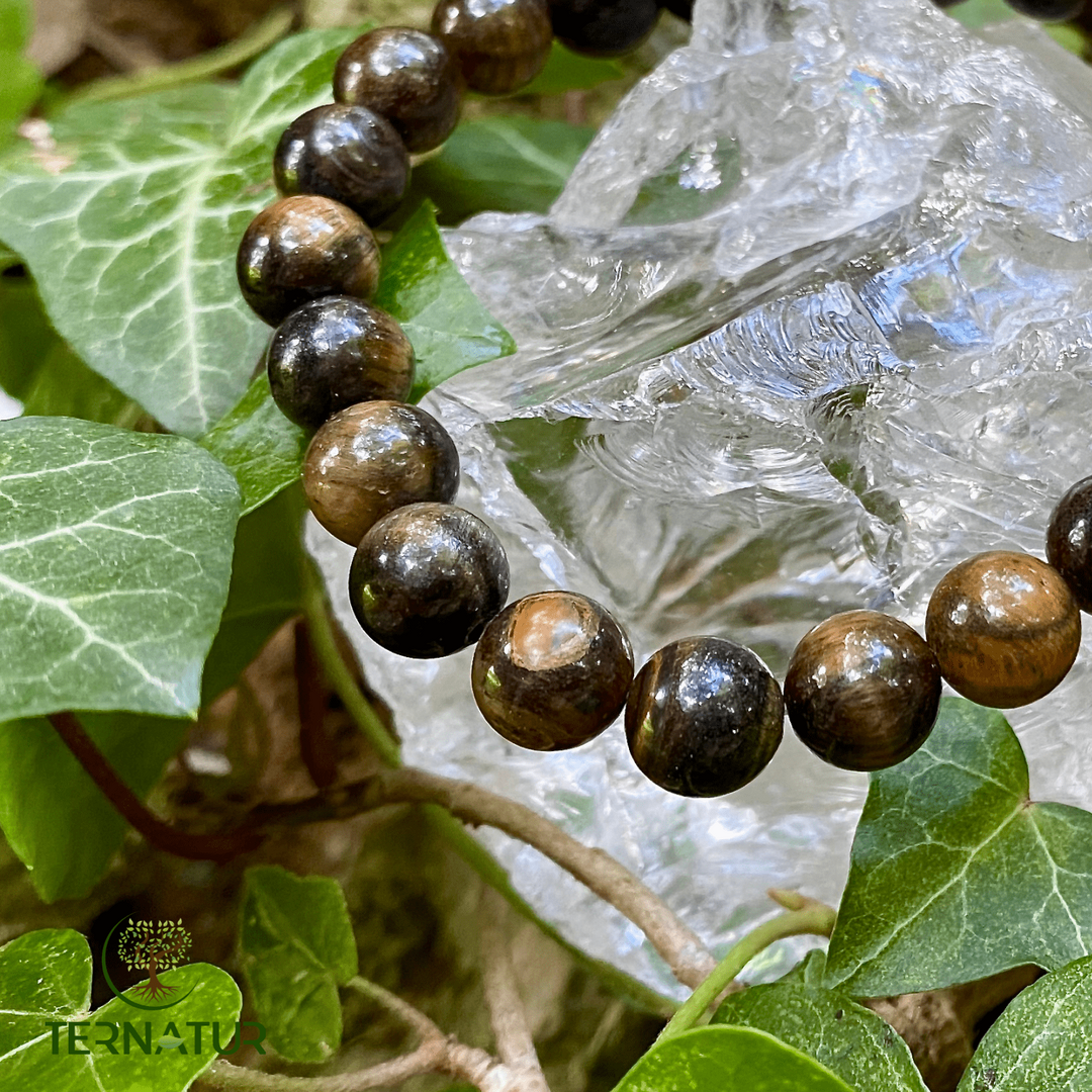 Bracelet Oeil de Faucon - 8mm