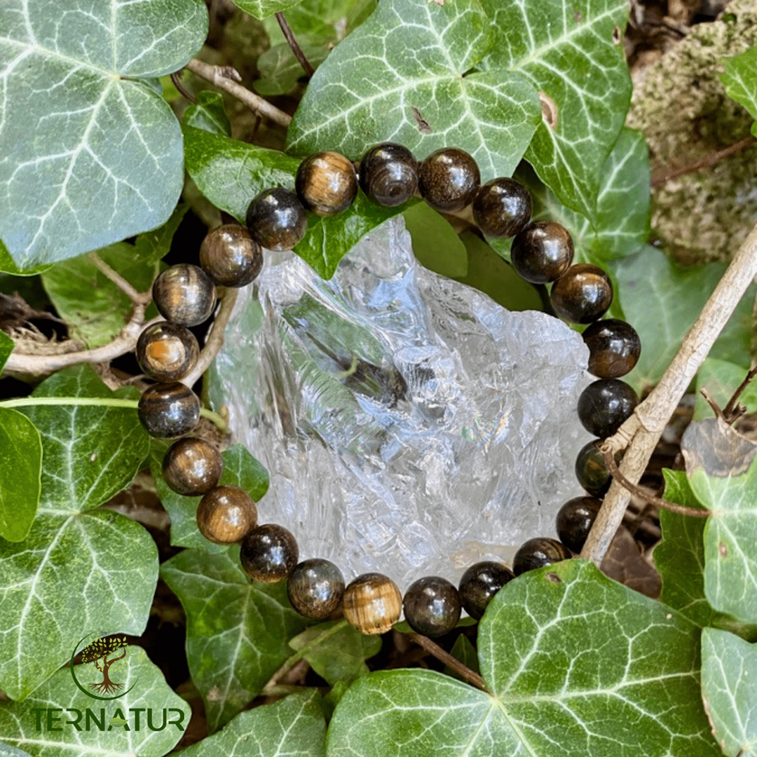 Bracelet Oeil de Faucon - 8mm