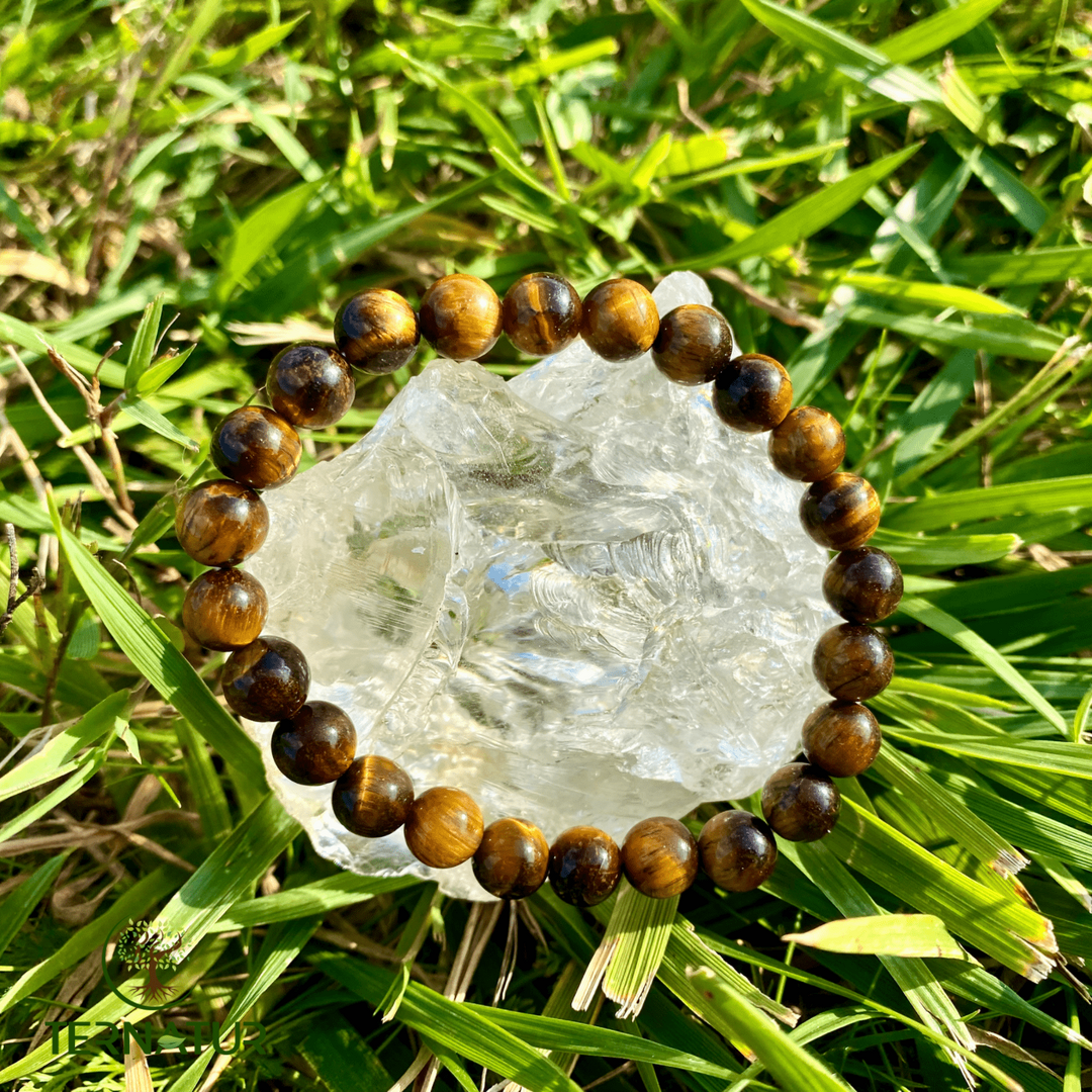 Bracelet Oeil de Tigre AA - 8mm