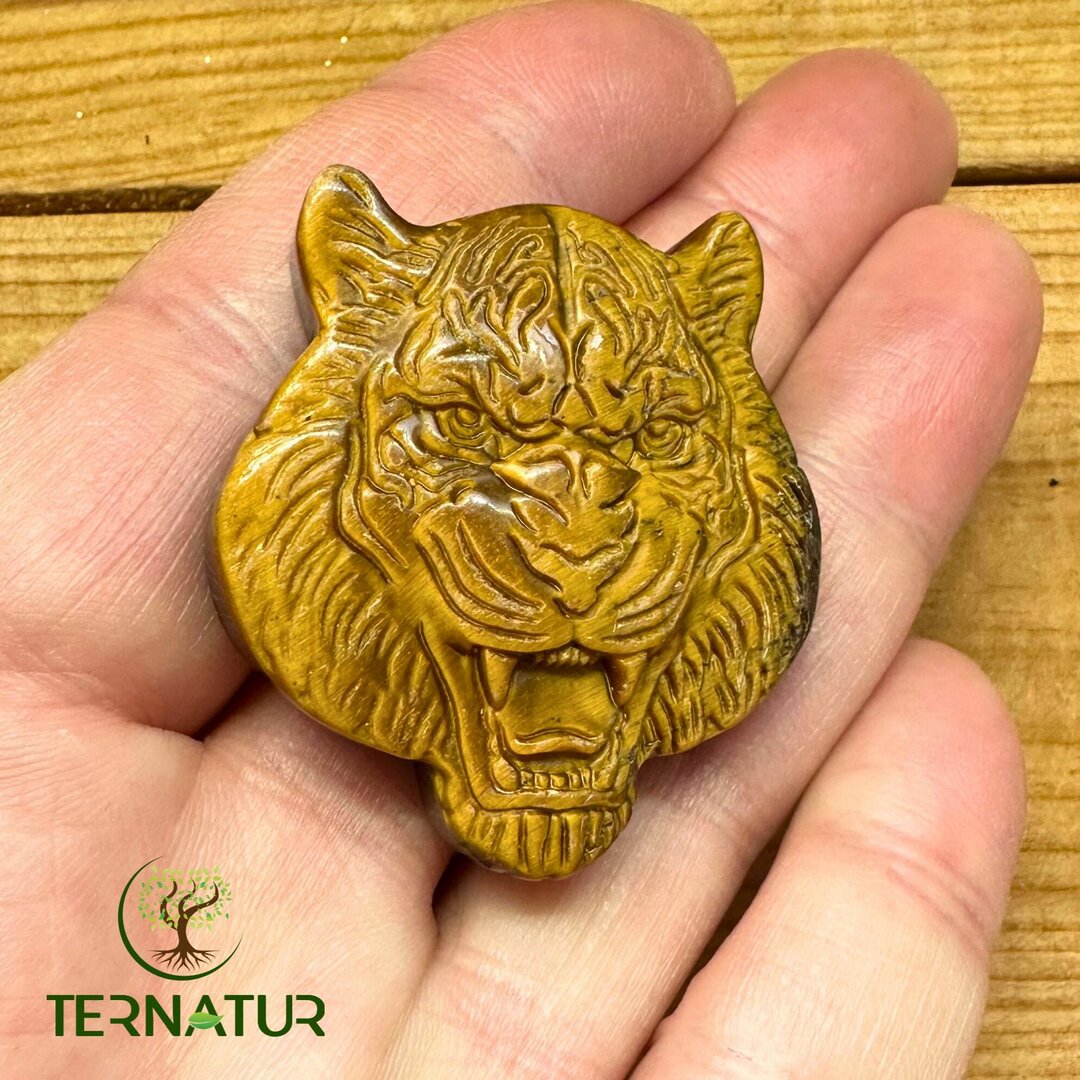 Tigre en Oeil de Tigre