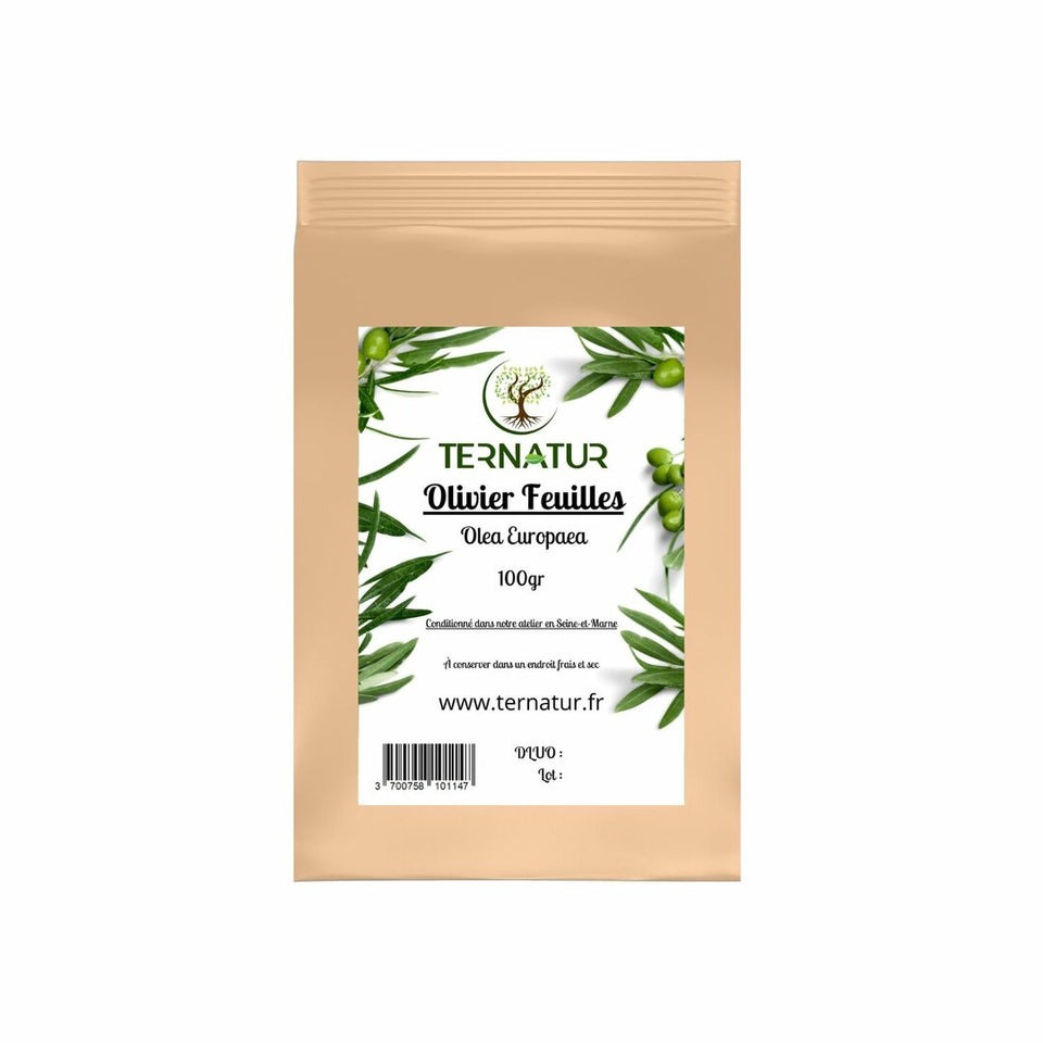 Olivier - Feuilles 100g - Olea europaea