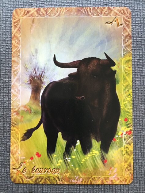 L'oracle du peuple animal