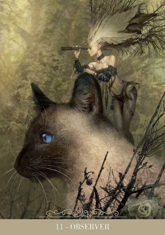 L'oracle des Chats Fantasy