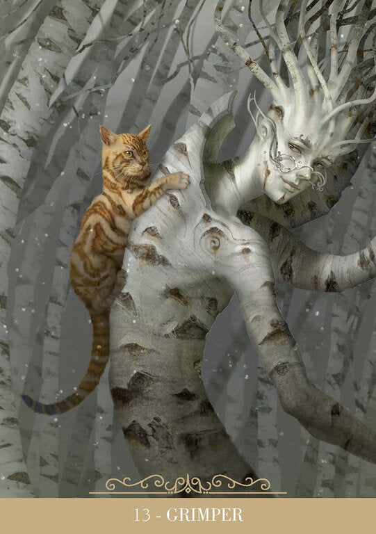 L'oracle des Chats Fantasy