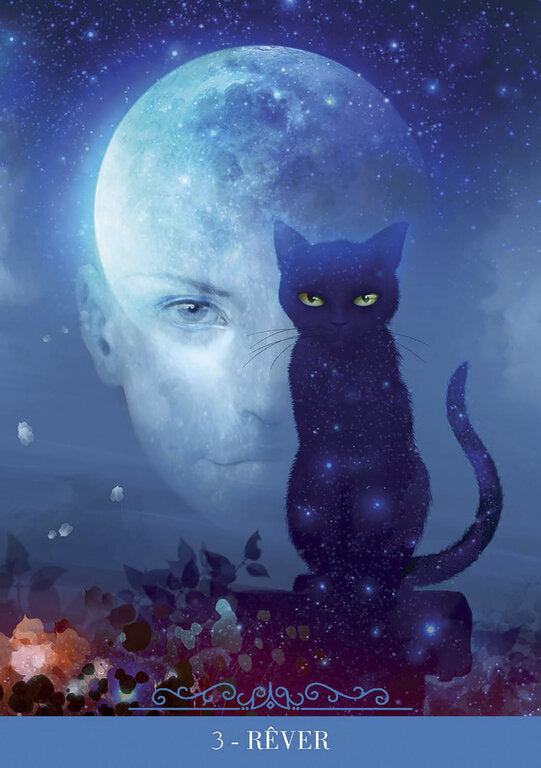 L'oracle des Chats Fantasy