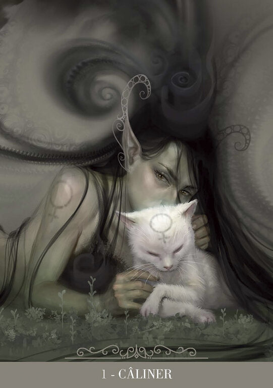 L'oracle des Chats Fantasy