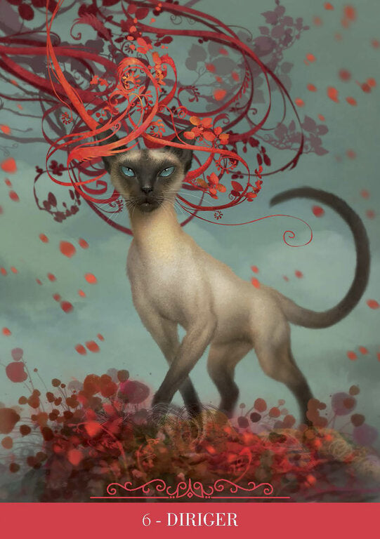 L'oracle des Chats Fantasy
