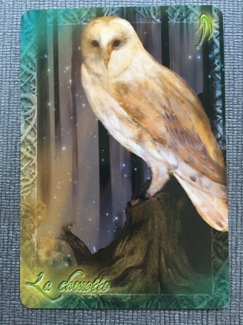L'oracle du peuple animal
