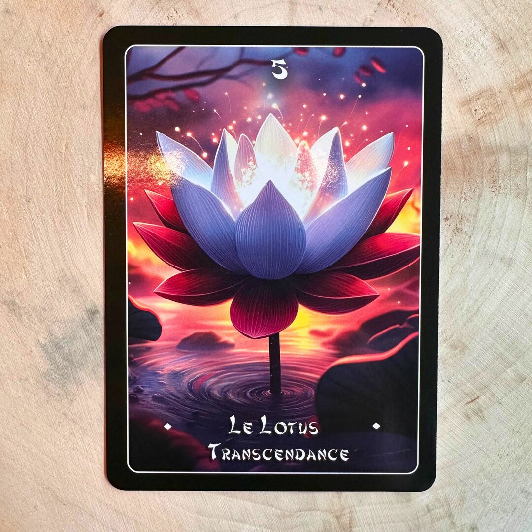L'oracle des Mémoires du Sakura Éternel