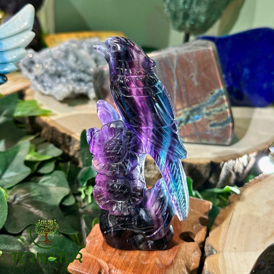 Perruche en Fluorite