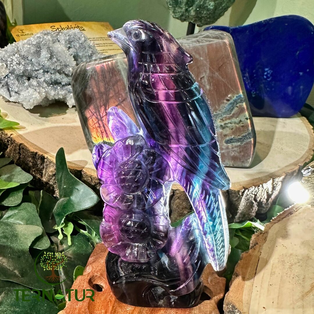 Perruche en Fluorite
