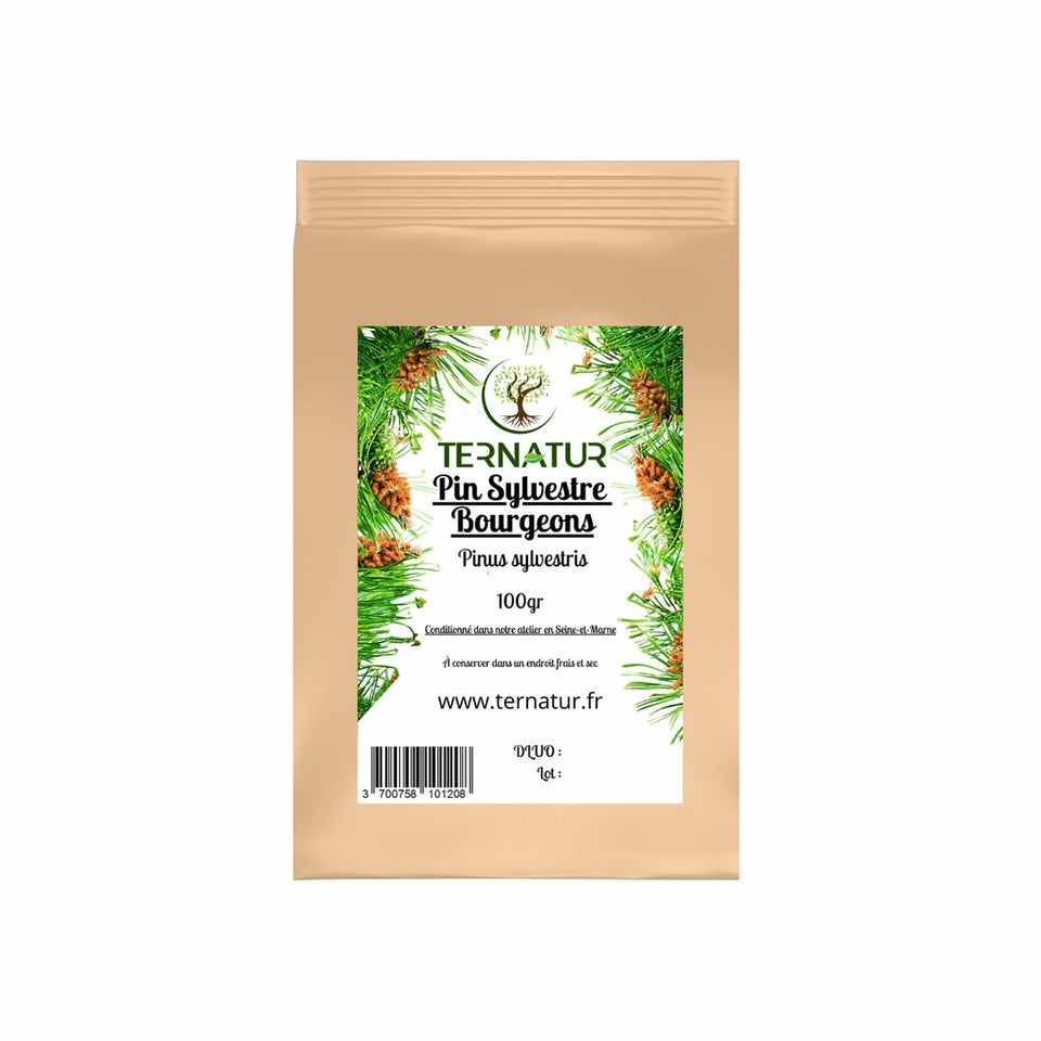 Pin Sylvestre - Bourgeons 100g - Pinus sylvestris