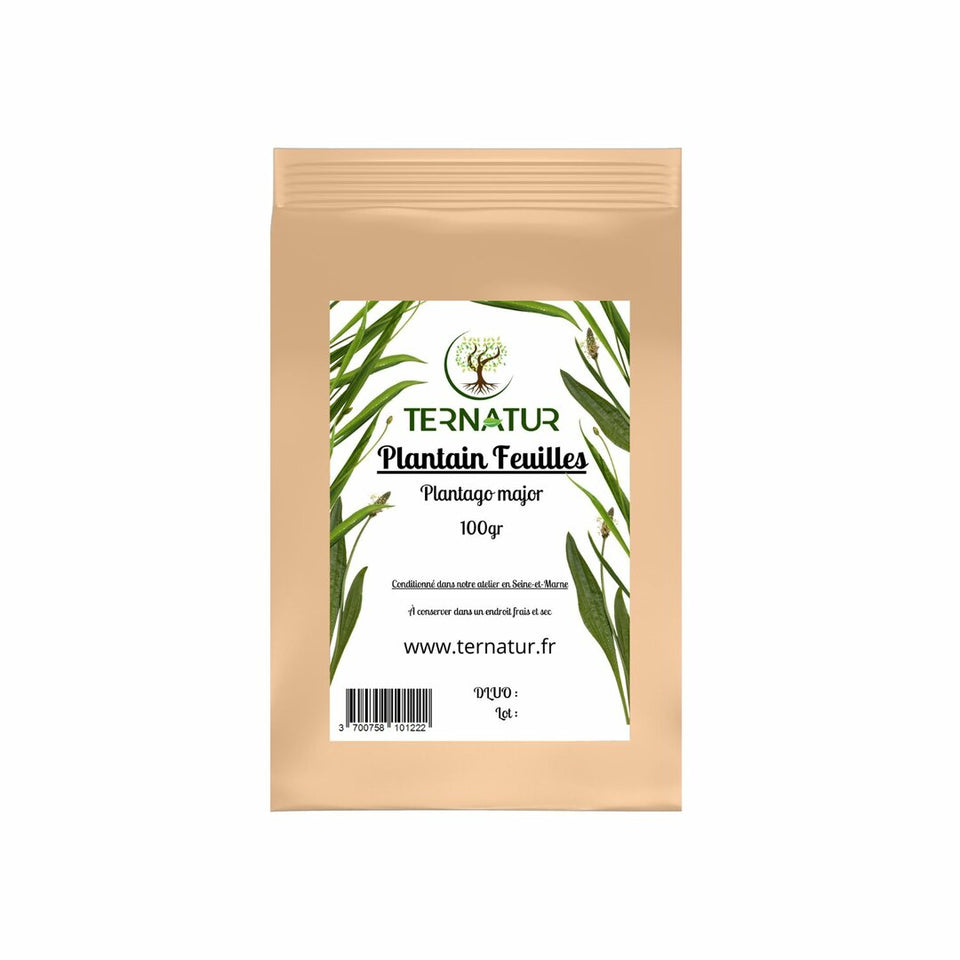 Plantain - Feuilles 100g - Plantago major