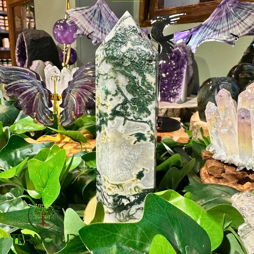 Pointe Agate Mousse - Cristal de Roche