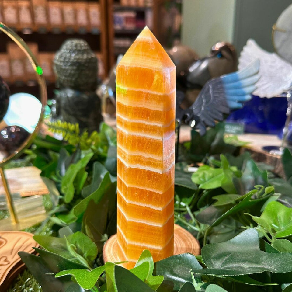 Pointe Calcite Orange - 17cm