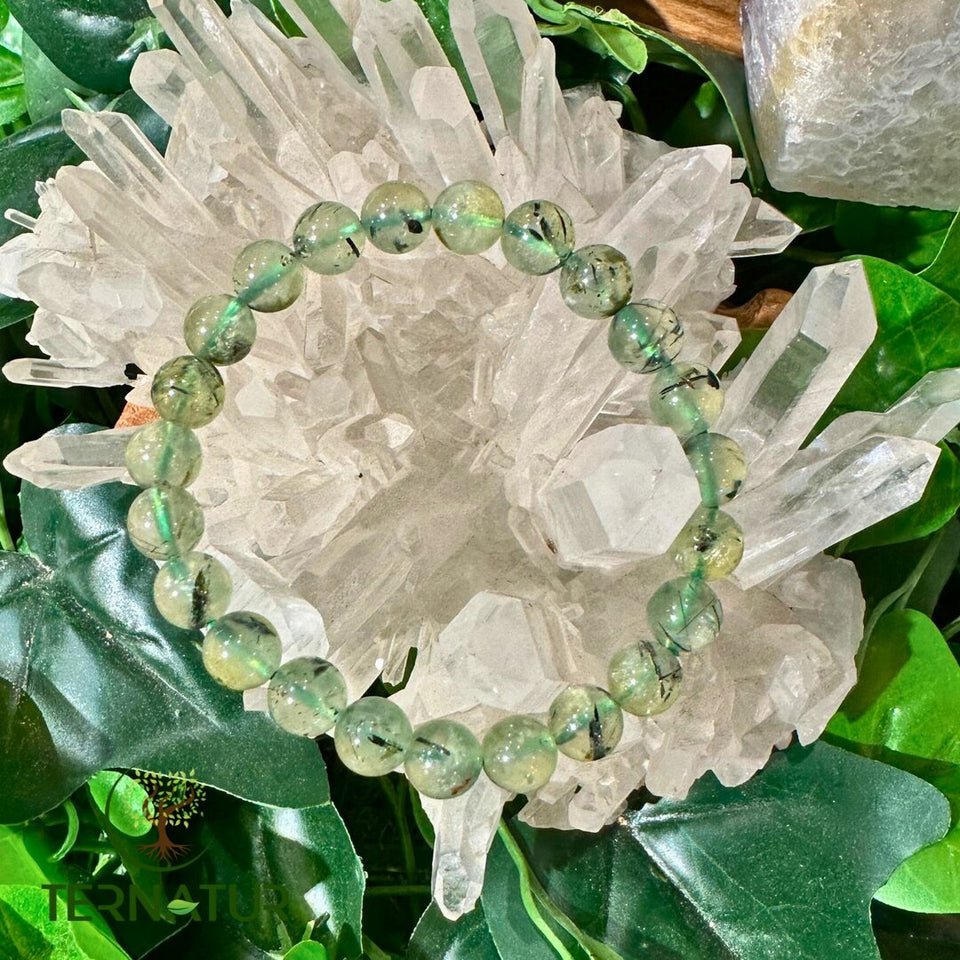 Bracelet Prehnite - 8mm