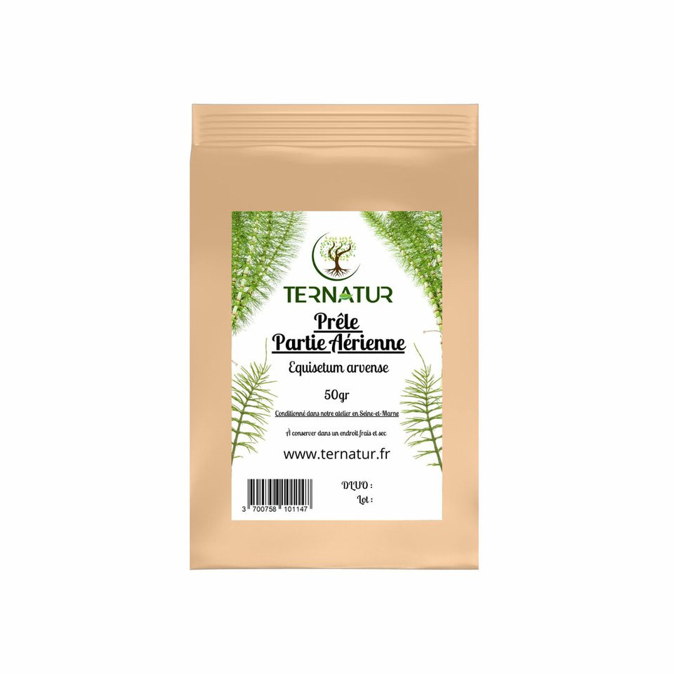 Prêle - Partie Aérienne 100g - Equisetum arvense