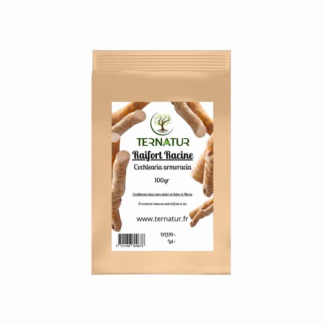Raifort - Racine 100g - Cochlearia armoracia