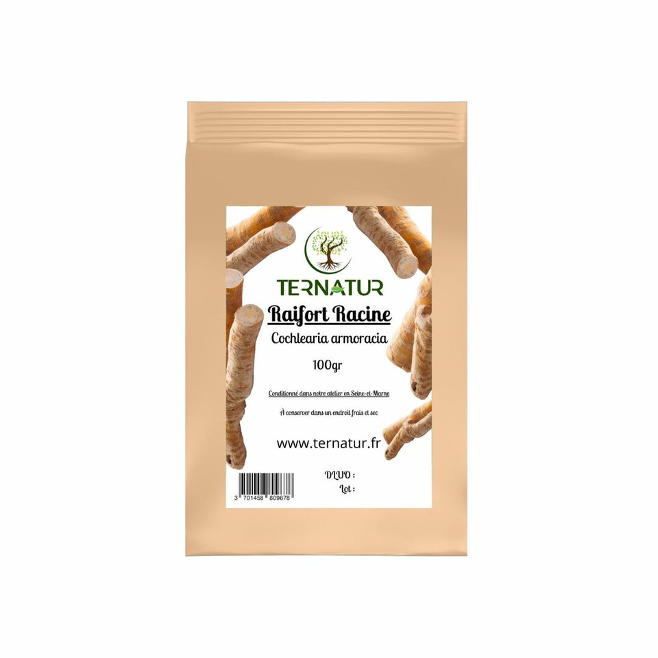 Raifort - Racine 100g - Cochlearia armoracia