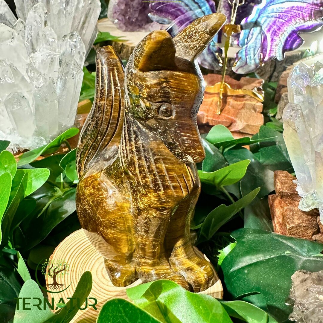 Renard en Oeil de Tigre