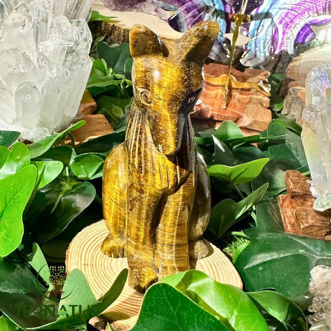 Renard en Oeil de Tigre