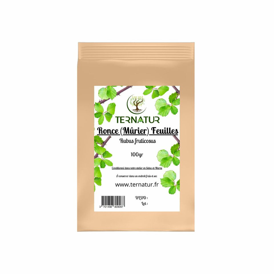 Ronce (Murier) - Feuilles 100g - Rubus fruticosus