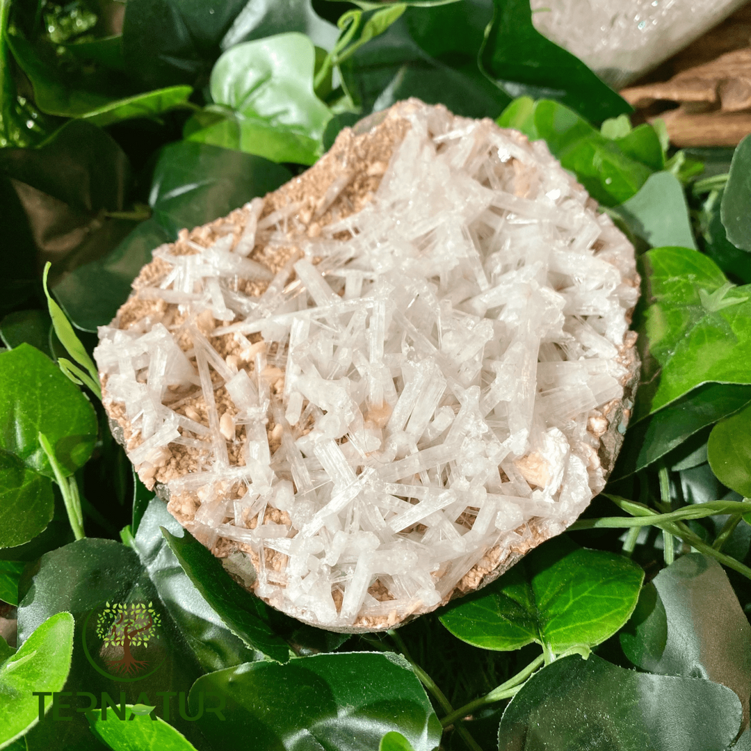 Géode de Scolecite
