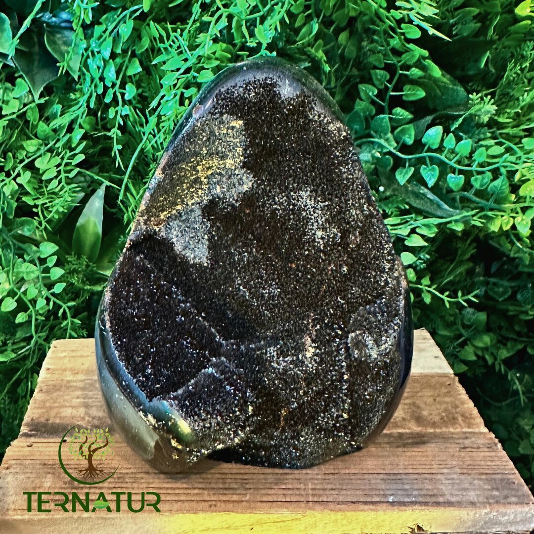 Septaria sauvage de Madagascar - Forme Libre - 1,565kg