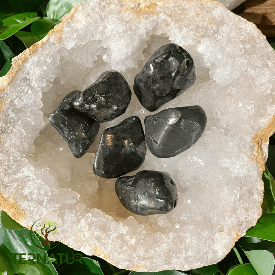 Shungite Russie Pierre Roulée