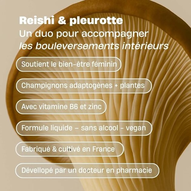 Cure Ménopause – Reishi, Pleurote, Actée à grappes, Zinc & Vitamine B6
