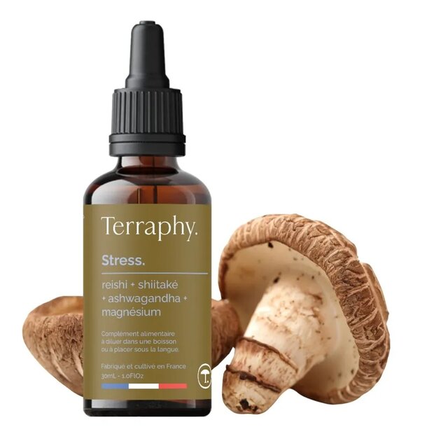 Cure Stress – Reishi, Shiitaké, Ashwagandha, Magnésium & Vitamine B6