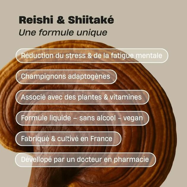 Cure Stress – Reishi, Shiitaké, Ashwagandha, Magnésium & Vitamine B6